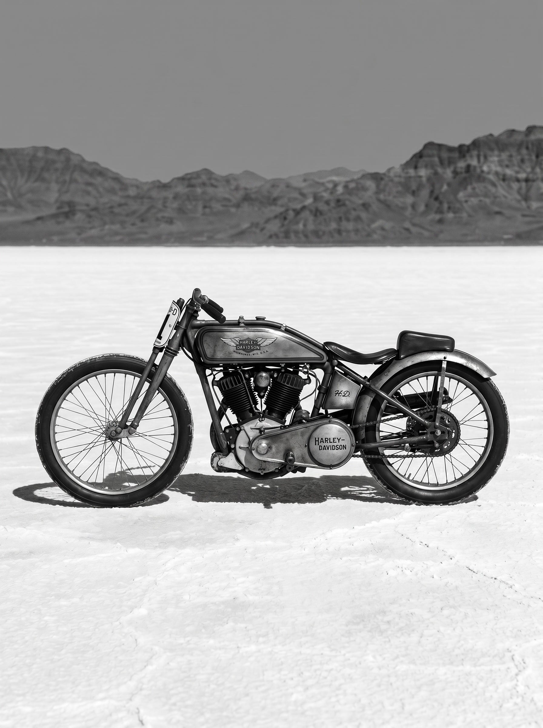 Vintage Harley