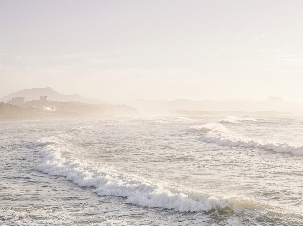 The Quiet Coast
