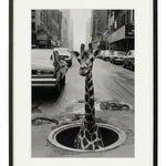 Giraffe in NY