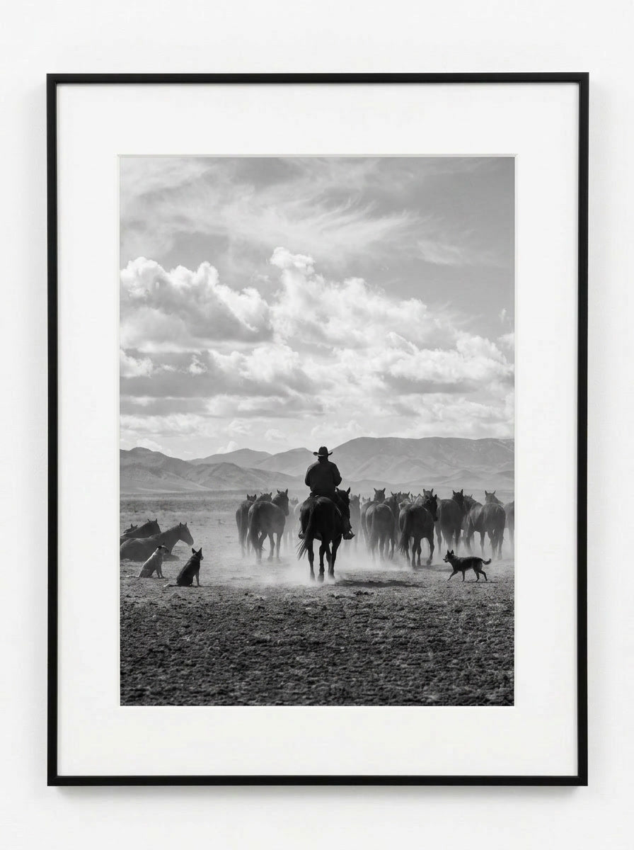 Ranch 1
