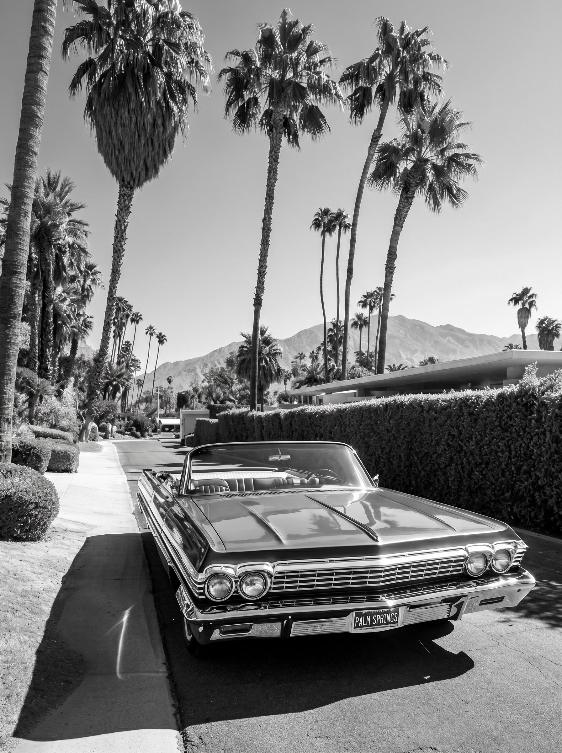 Palm Springs